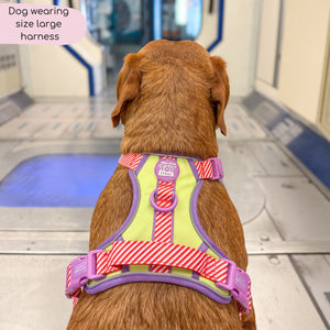 Disney© Tough Trails™ Harness - Buzz Lightyear