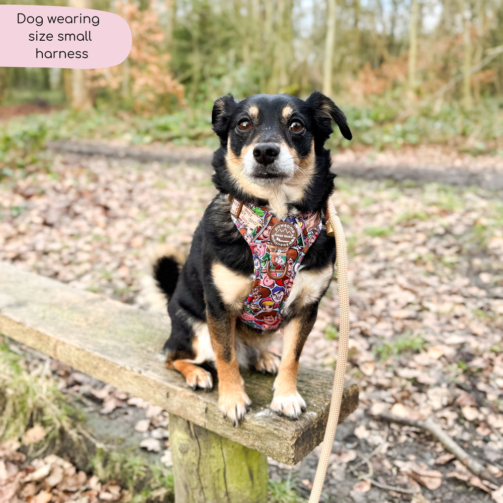 Disney© Tough Trails™ Harness - Toy Story Friends