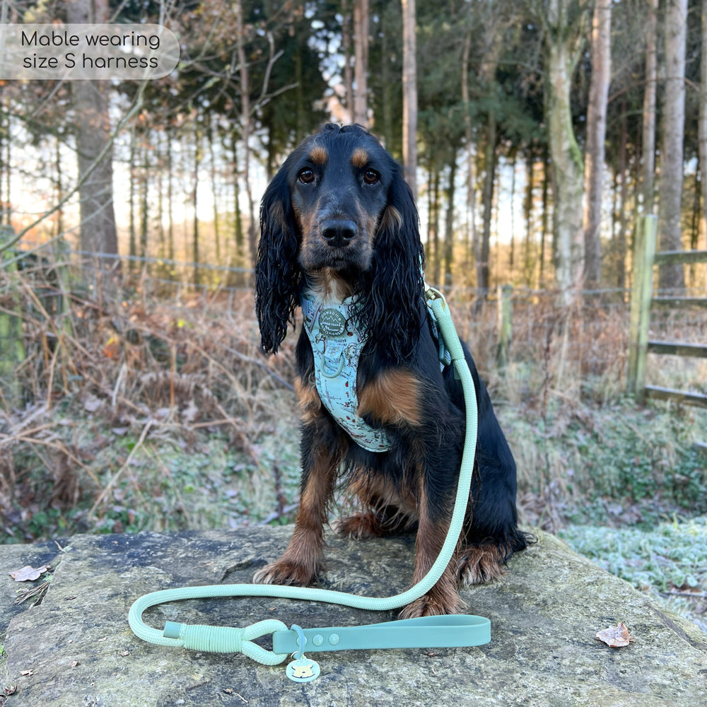 Disney© 4ft Rope Lead - 100 Aker Wood - Light and Dark Green