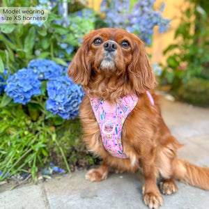 Disney© Tough Trails™ Harness - Nala