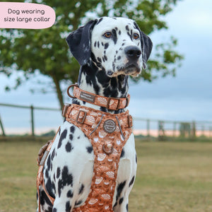 Collar - Cinnamon Spice