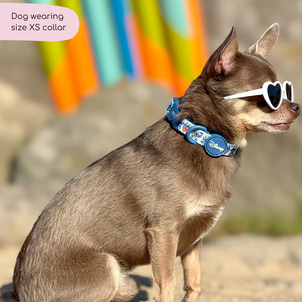 Disney© Collar - Stitch's Fruit Fiesta