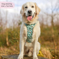 Disney© Tough Trails™ Harness - Rex