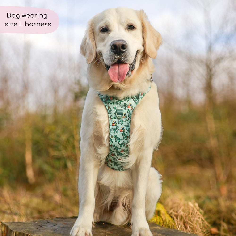 Disney© Tough Trails™ Harness - Rex