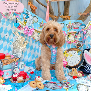 Disney© Tough Trails™ Harness - Mad Hatters Tea Party