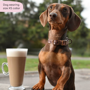 Collar – Walkies Ready® Chocolate Brown