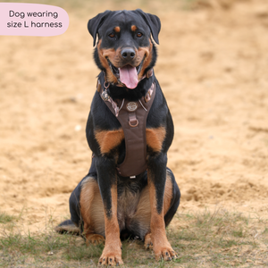 Tough Trails™ Harness - Walkies Ready® Chocolate Brown