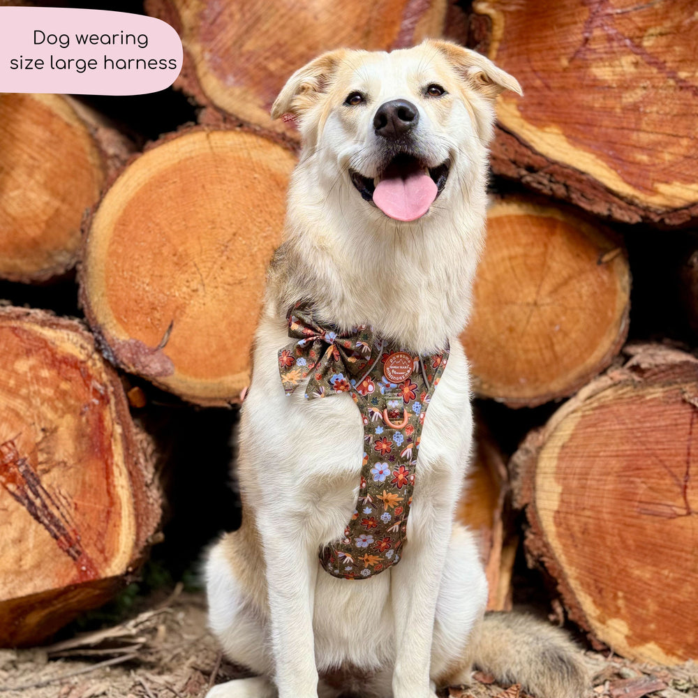 Tough Trails™ Harness - Rust & Bloom