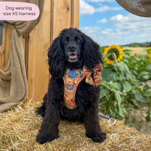 Tough Trails™ Harness - Celestial Spirit