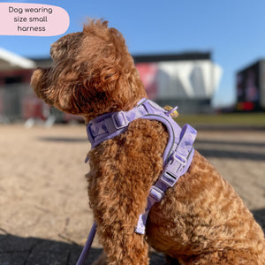 Tough Trails™ Harness - Walkies Ready® Lavender Lilac