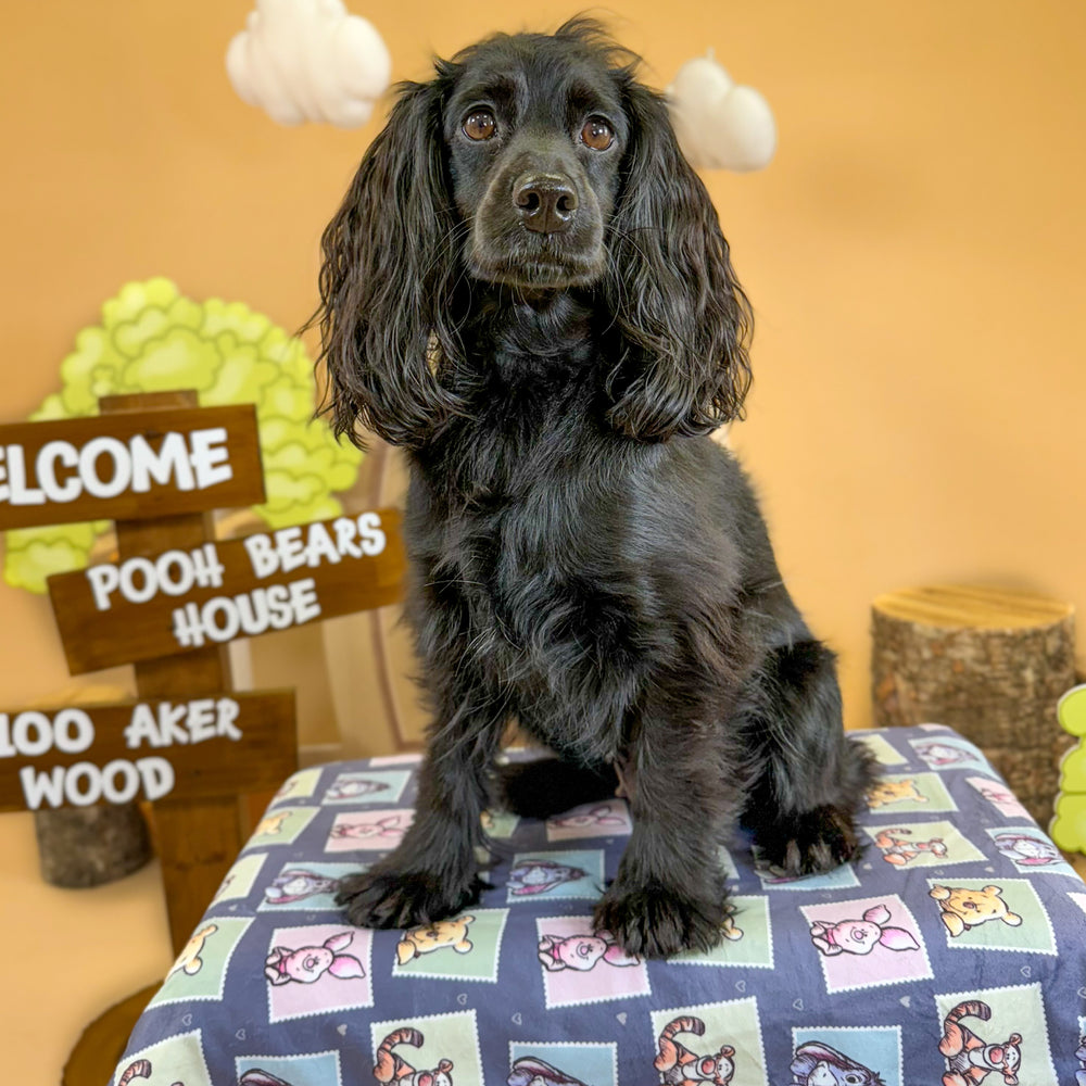 Disney© Dog Blanket - Winnie + Friends