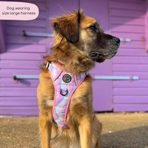 Tough Trails™ Harness - PPB Pastel Swirl