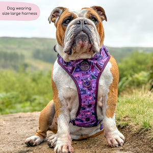 Tough Trails™ Harness - Roaming Wild