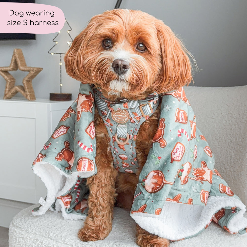 Disney© Tough Trails™ Harness - Gingerbread Bear Sage