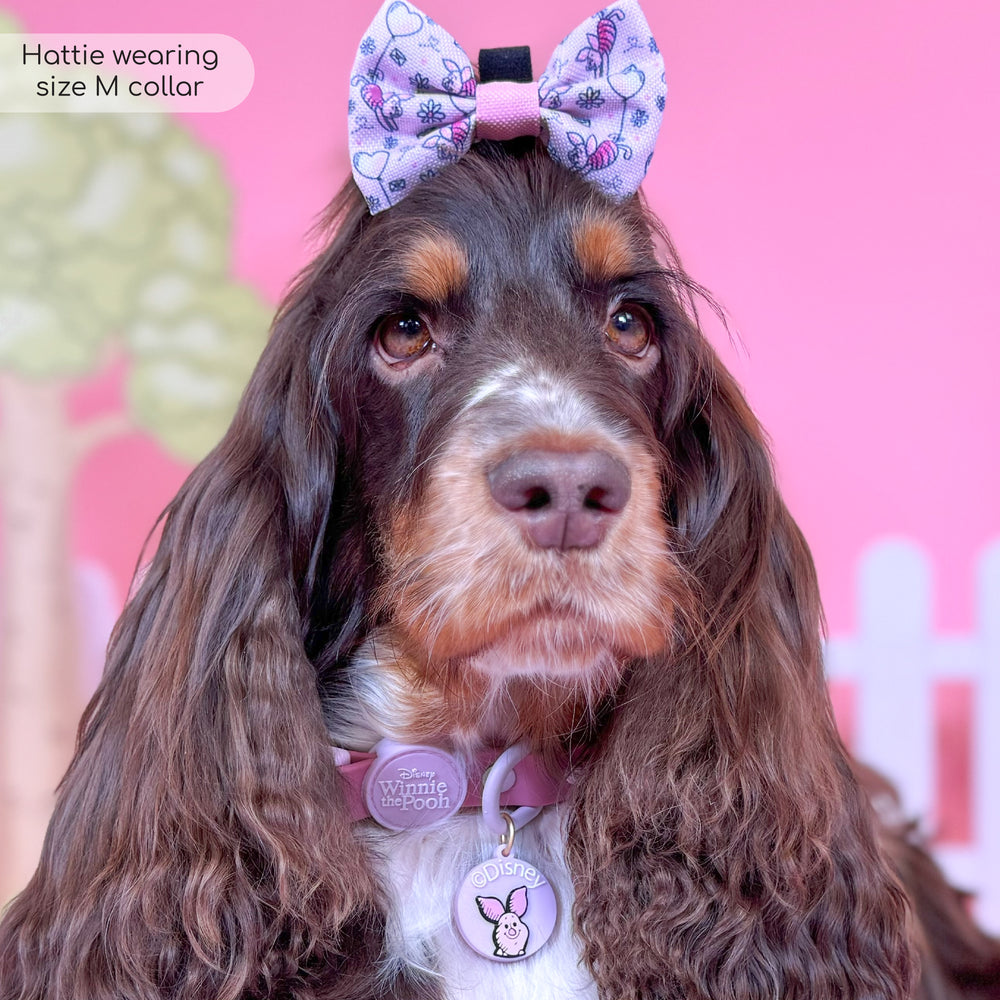 Disney© Waterproof Collar - Piglet