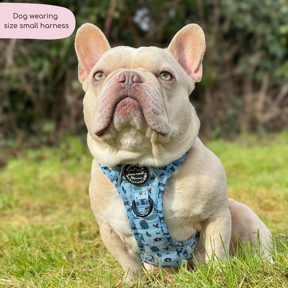 Tough Trails™ Harness - Reuben's Roadtrip