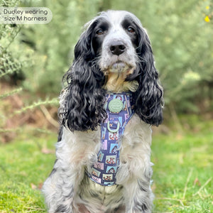 Disney© Tough Trails™ Harness -  Winnie + Friends