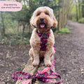 Tough Trails™ Harness - Mable's Meadow