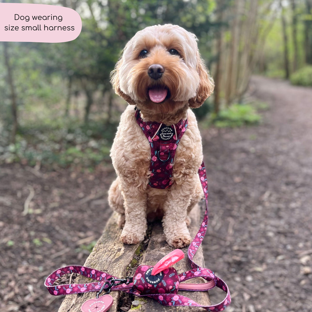 Tough Trails™ Harness - Mable's Meadow