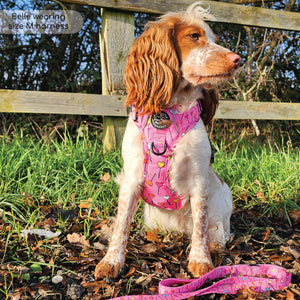 Tough Trails™ Harness - Candypop