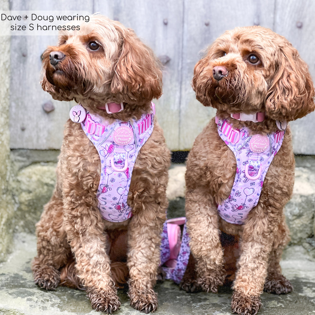Disney© Tough Trails™ Harness - Piglet