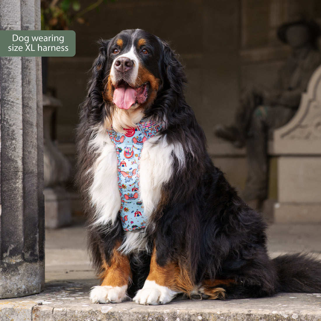Disney© Tough Trails™ Harness - Dumbo