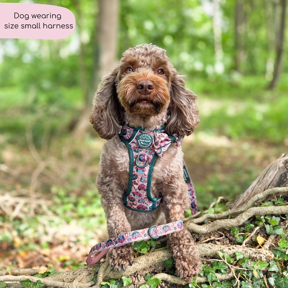 Tough Trails™ Harness -  Adventure Awaits