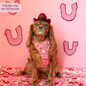 Disney© Tough Trails™ Harness - Jessie