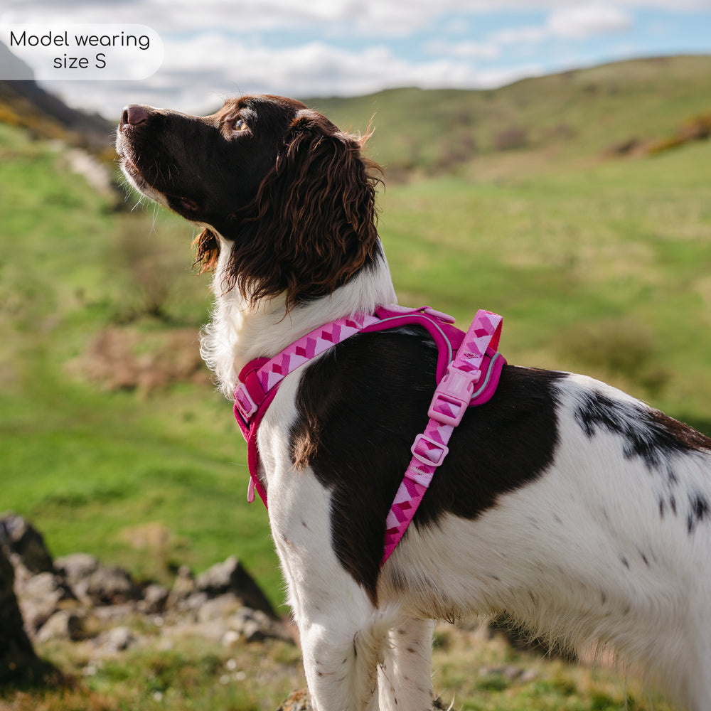 Tough Trails™ Harness - Walkies Ready® Raspberry Pink