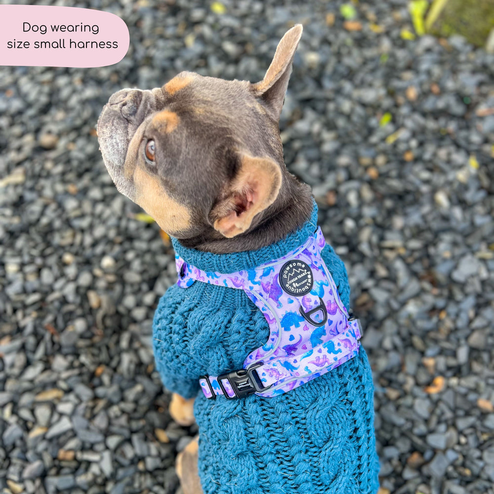 Tough Trails™ Harness - Tiny Diny