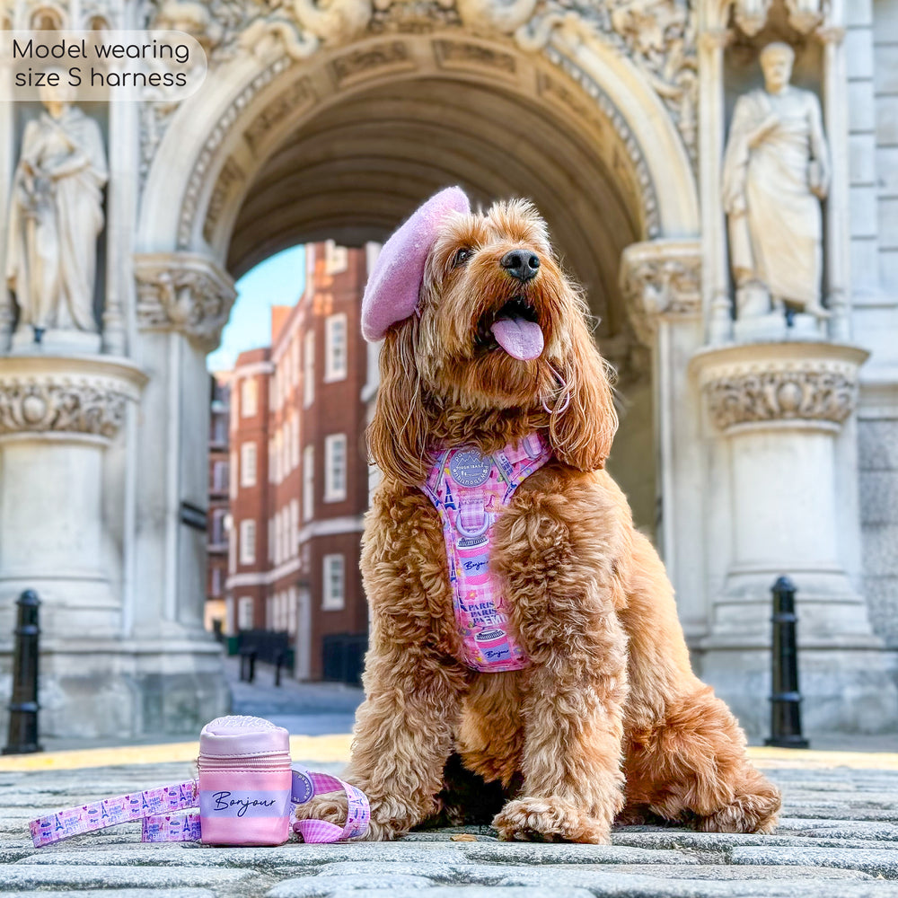 Tough Trails™ Harness - Emily In Paris
