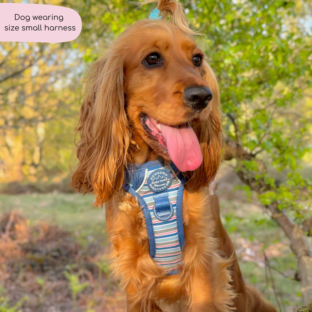 Tough Trails™ Harness -  Sailor Stripes