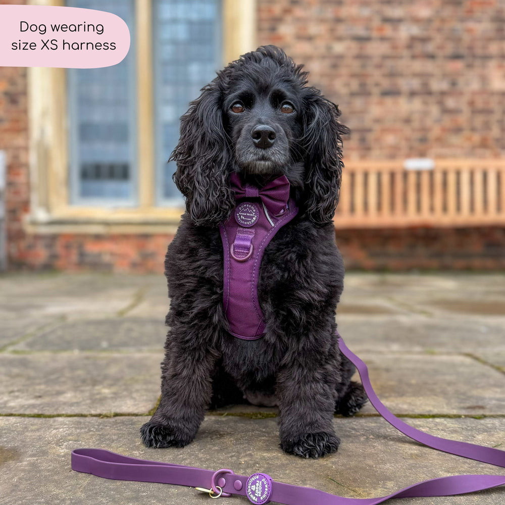 Tough Trails™ Harness - Walkies Ready® Plum