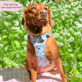 Disney© Tough Trails™ Harness - Stitch's Slumber Party