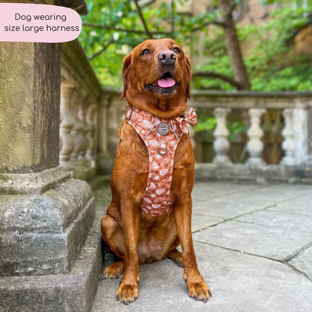 Tough Trails™ Harness - Cinnamon Spice