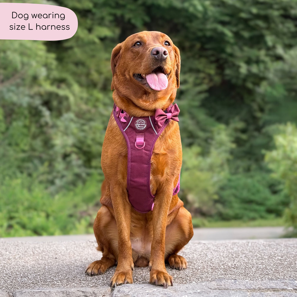 Tough Trails™ Harness - Walkies Ready® Mulberry
