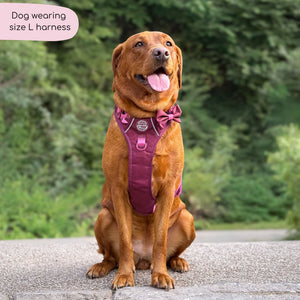 Tough Trails™ Harness - Walkies Ready® Mulberry