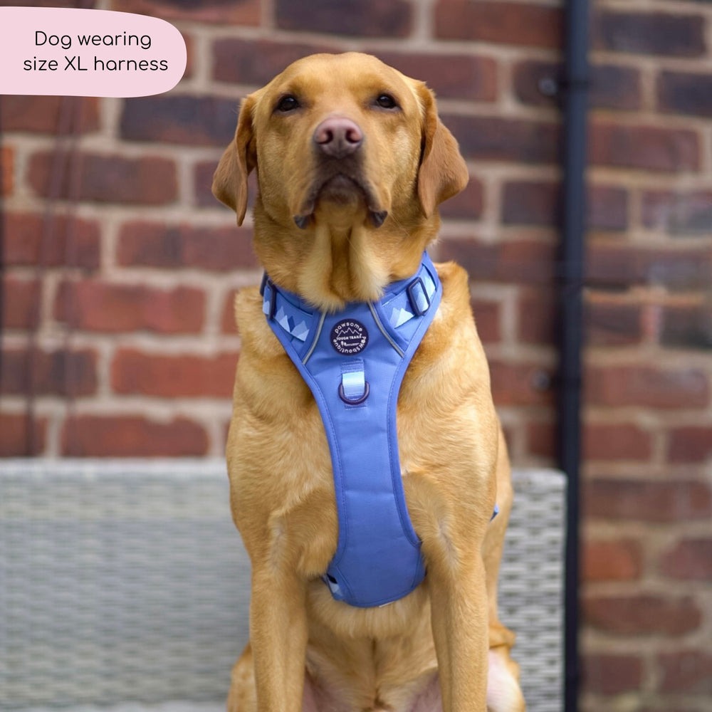 Tough Trails™ Harness - Walkies Ready® Cornflower Blue