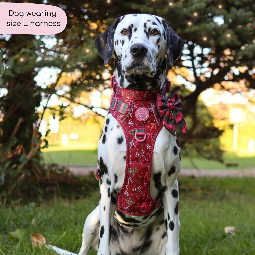 Tough Trails™ Harness - Bows Of Joy