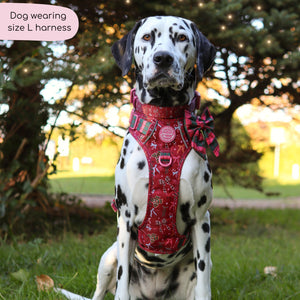 Tough Trails™ Harness - Bows Of Joy