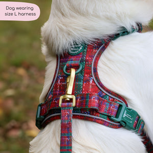 Tough Trails™ Harness - Yuletide Plaid