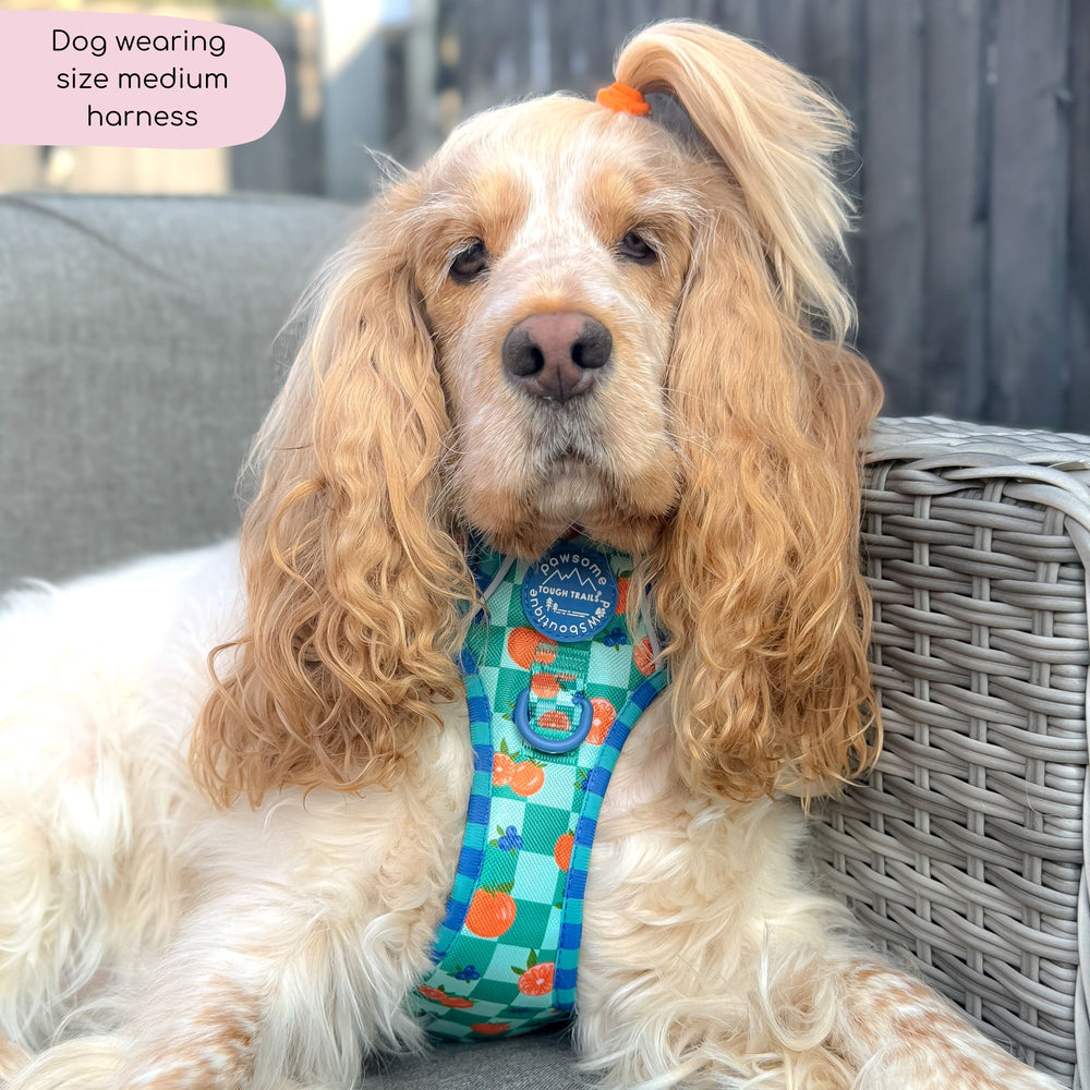 Tough Trails™ Harness -  Fruit Punch