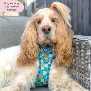 Tough Trails™ Harness -  Fruit Punch