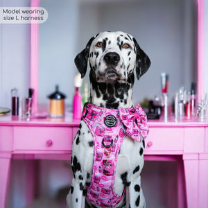 Tough Trails™ Harness - Mean Girls