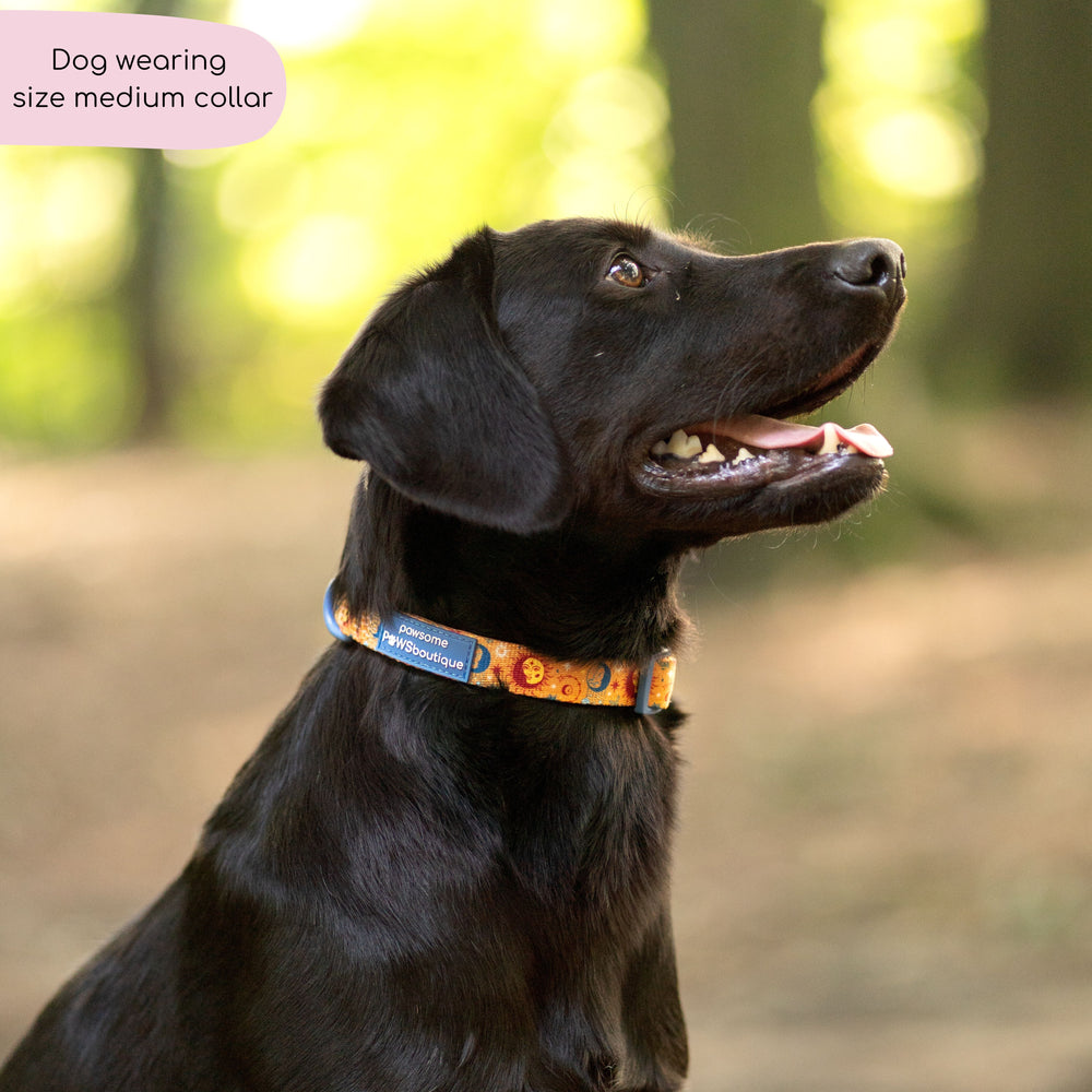 Collar - Celestial Spirit