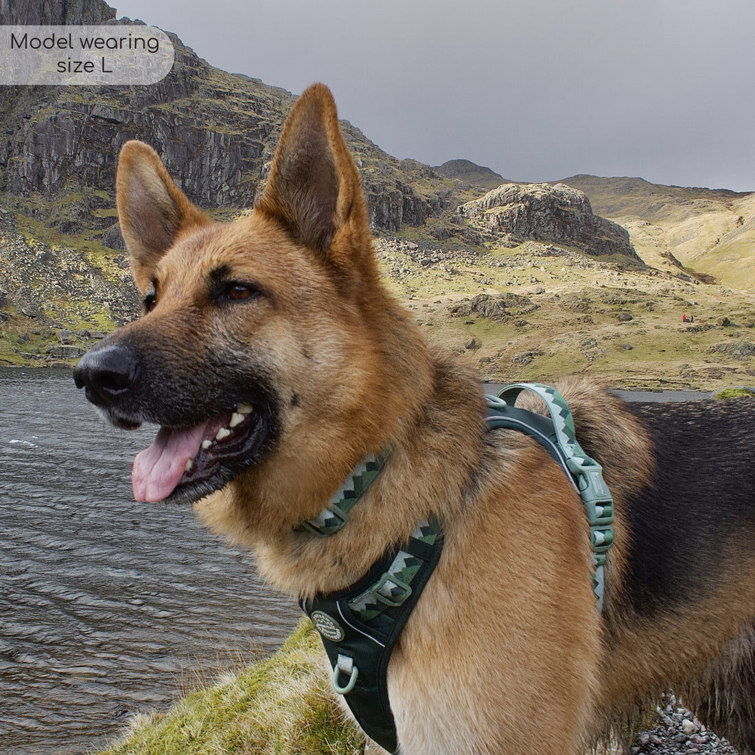 Tough Trails™ Harness - Walkies Ready® Forest Green