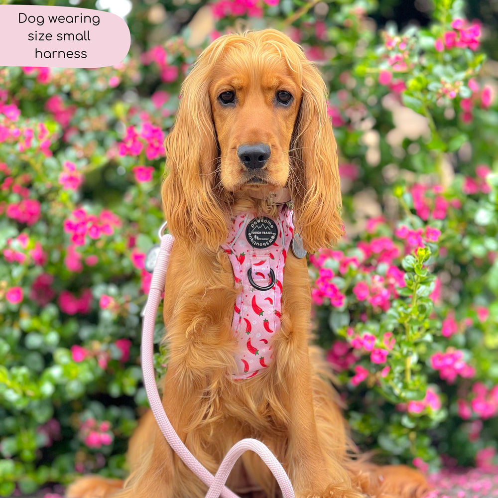 Tough Trails™ Harness - Chilli Dog