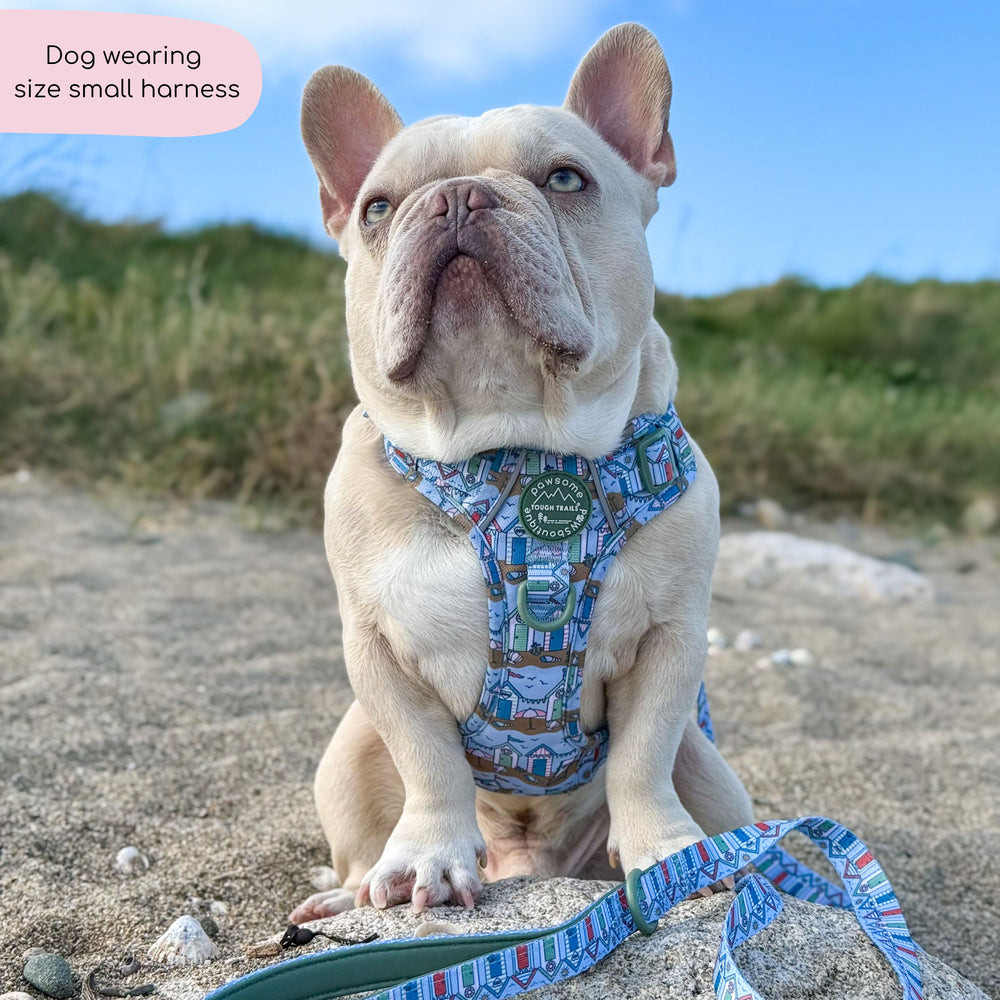 Tough Trails™ Harness -  Sandy Shores