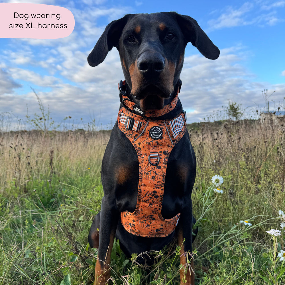 Disney© Tough Trails™ Harness - Halloween