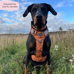 Disney© Tough Trails™ Harness - Halloween